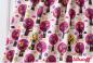 Preview: Bio Jersey - Appletree light - Lillestoff